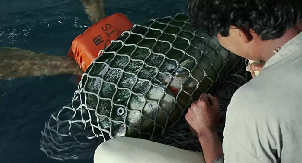 ライフ・オブ・パイ トラと漂流した227日の画像