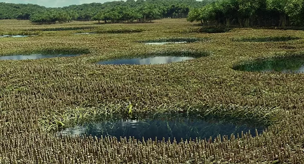 ライフ・オブ・パイ トラと漂流した227日の画像