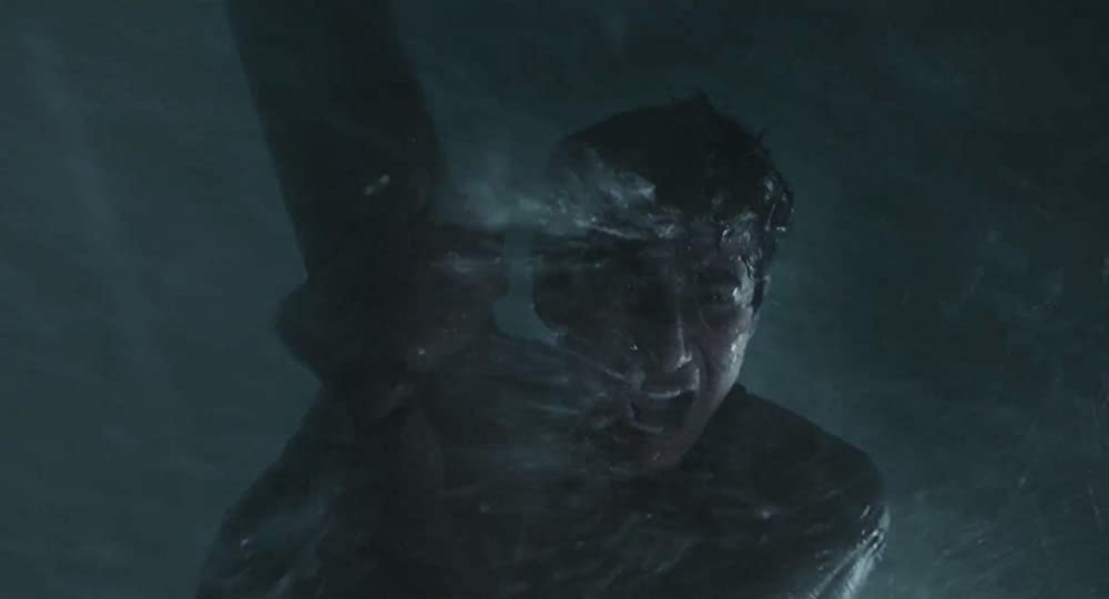 ライフ・オブ・パイ トラと漂流した227日の画像