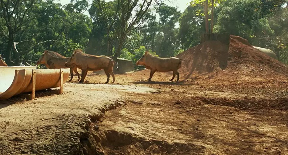 ライフ・オブ・パイ トラと漂流した227日の画像