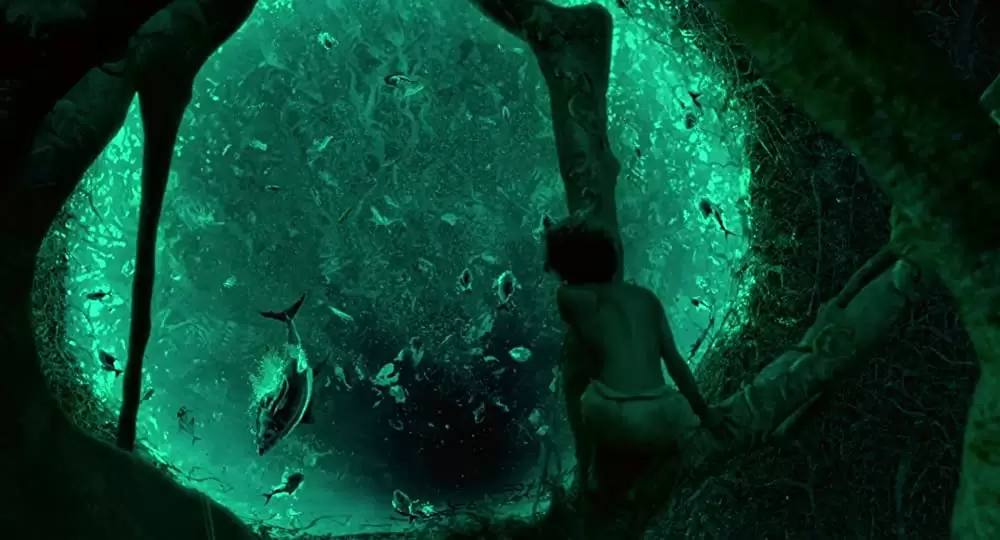 ライフ・オブ・パイ トラと漂流した227日の画像