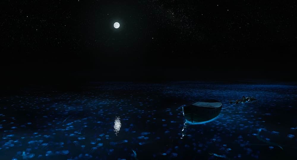 ライフ・オブ・パイ トラと漂流した227日の画像