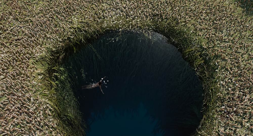 ライフ・オブ・パイ トラと漂流した227日の画像