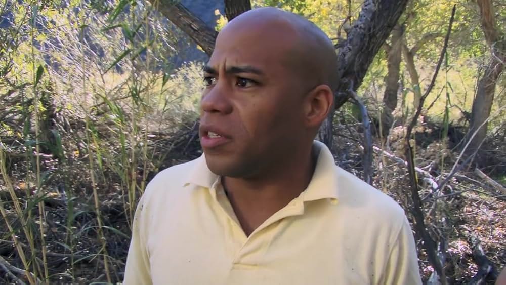 スカイ・ファイターの画像