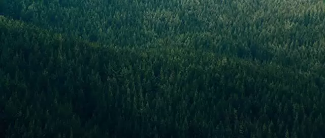 死の谷間の画像