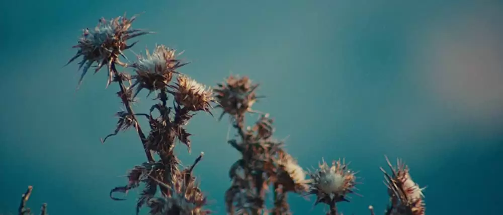 死の谷間の画像