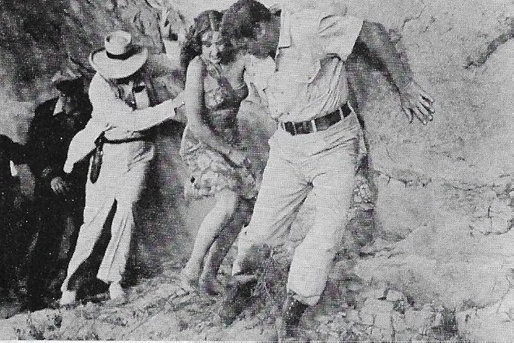 「ジャングルの宝庫」の画像