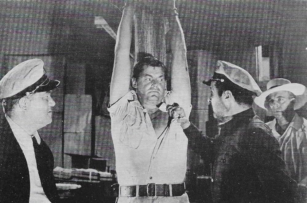 ジャングルの宝庫の写真