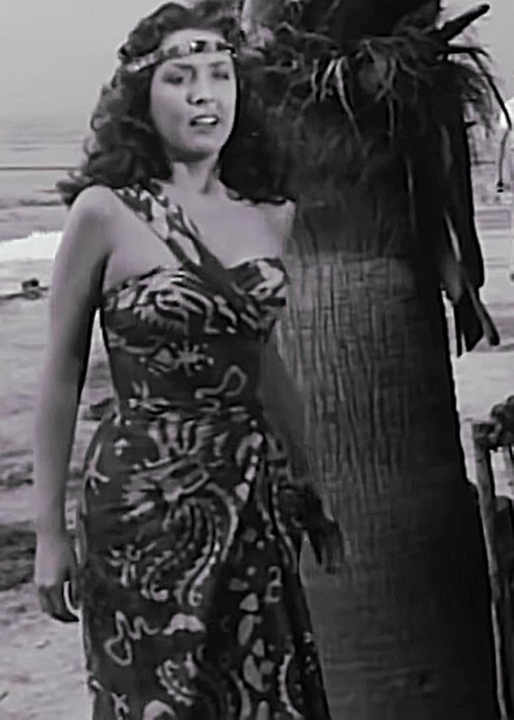 ジャングルの宝庫の画像