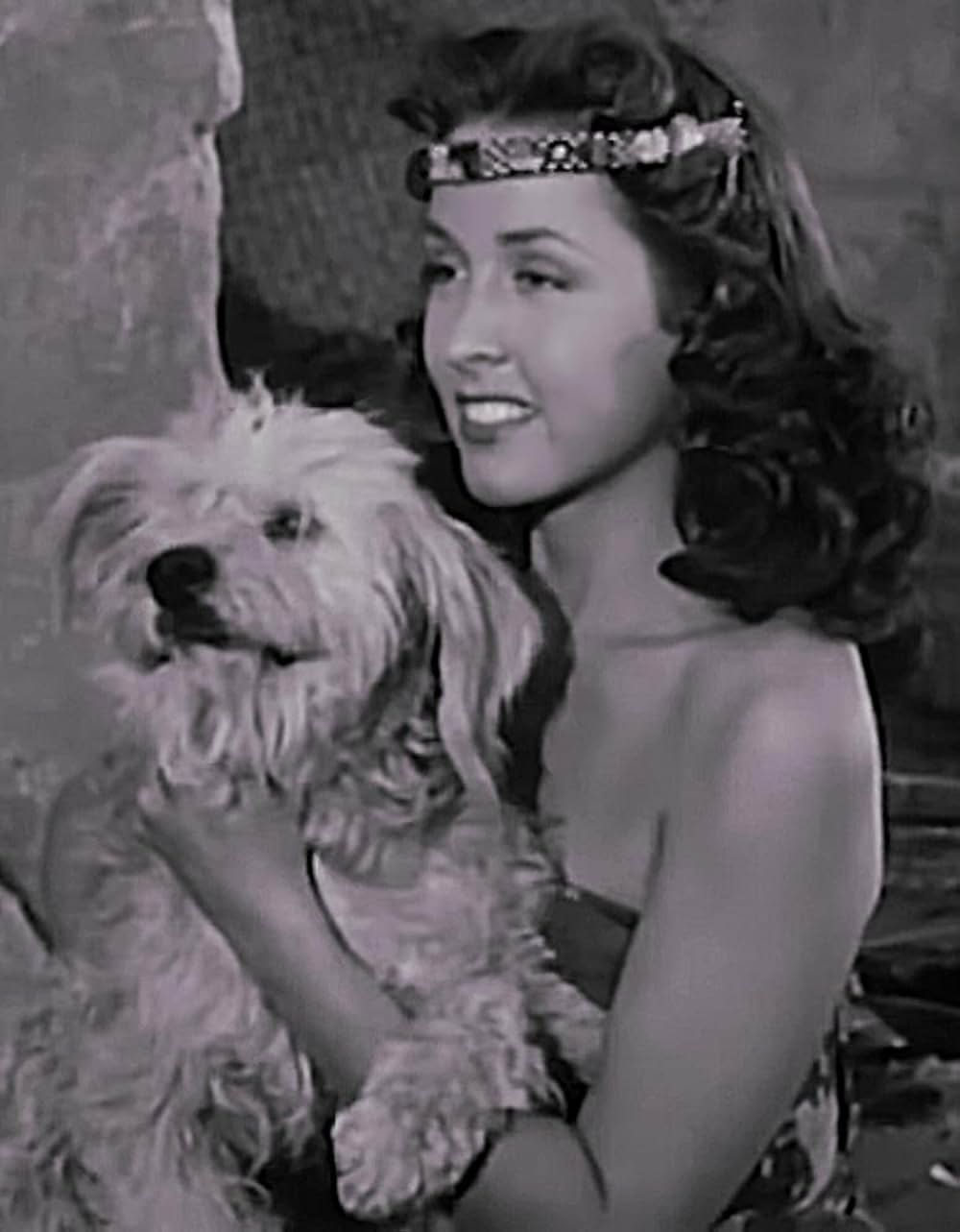 ジャングルの宝庫の画像