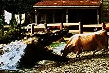 U.M.A レイク・プラシッドの画像