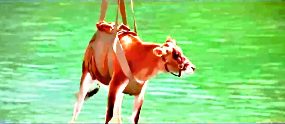 U.M.A レイク・プラシッドの画像