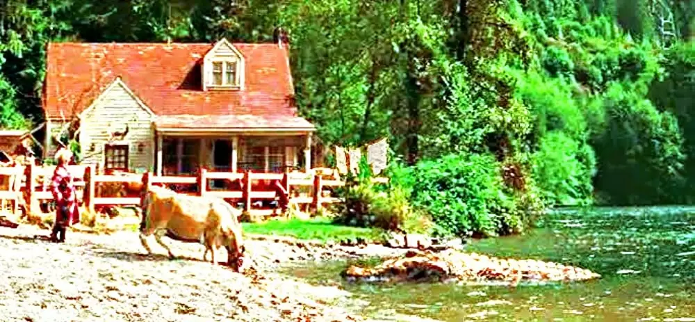 U.M.A レイク・プラシッドの画像