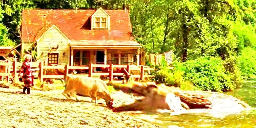 U.M.A レイク・プラシッドの画像