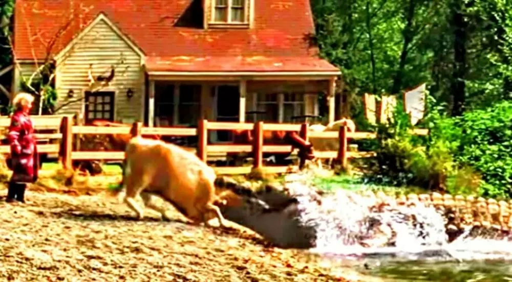 U.M.A レイク・プラシッドの画像