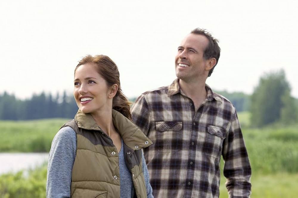 白い翼が運ぶ夢の画像