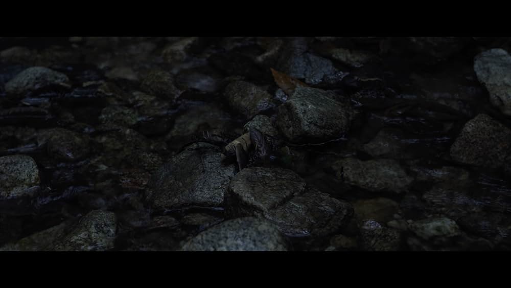 Sator（原題）の画像