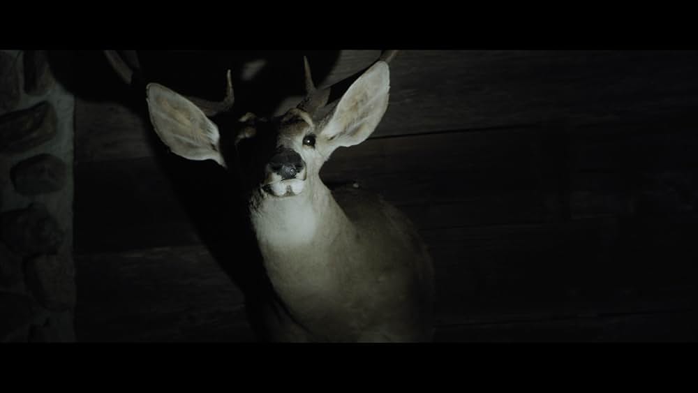 Sator（原題）の画像