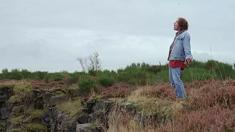 シャロウ・グレイブの画像