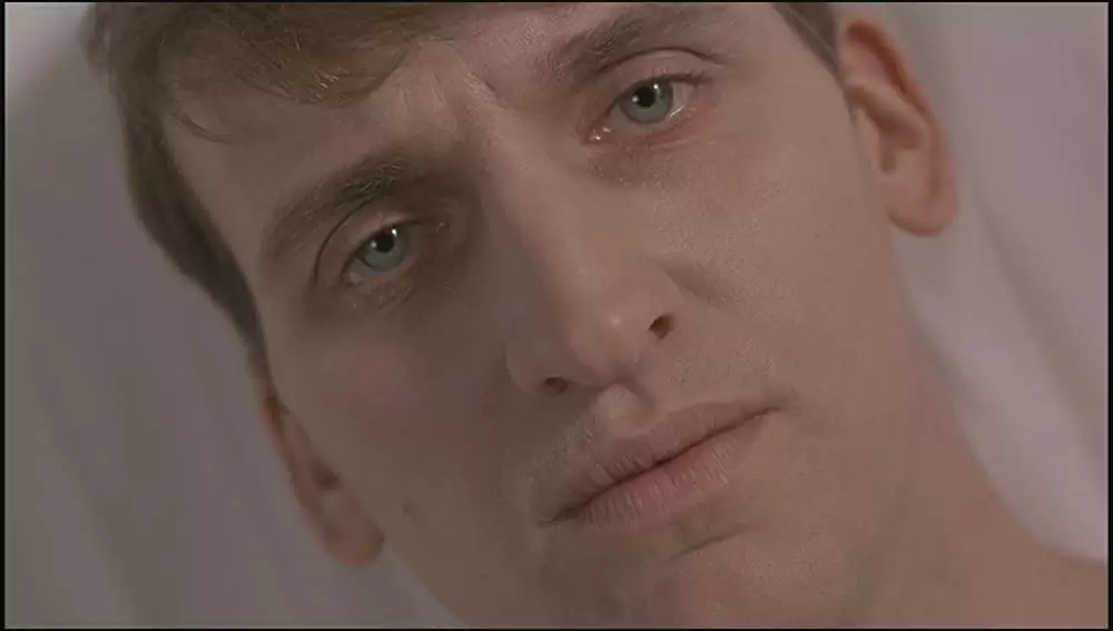 シャロウ・グレイブの画像