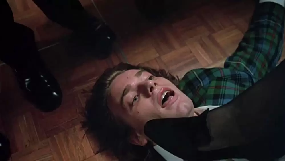 シャロウ・グレイブの画像