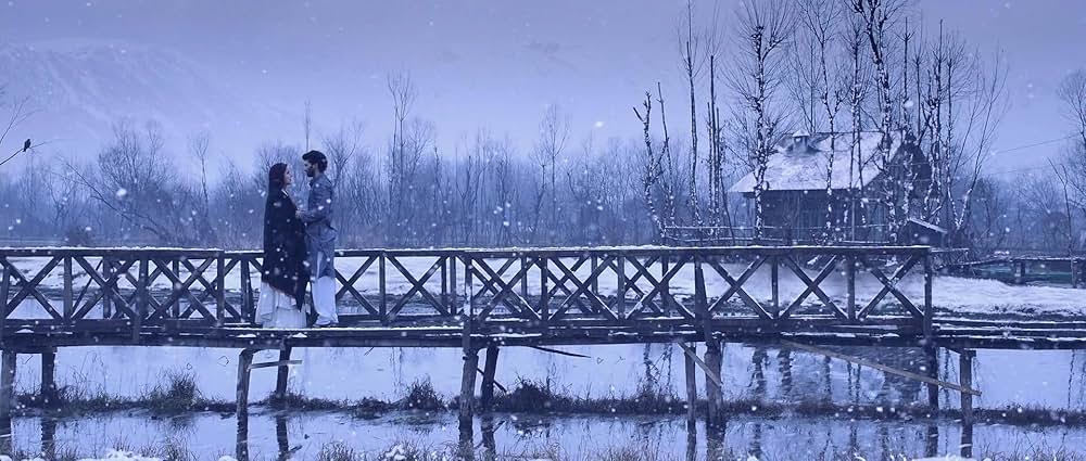 「Fitoor（原題）」の画像