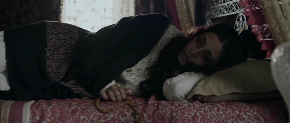 Fitoor（原題）の画像