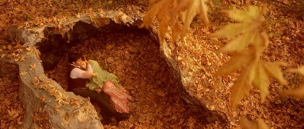 Fitoor（原題）の画像