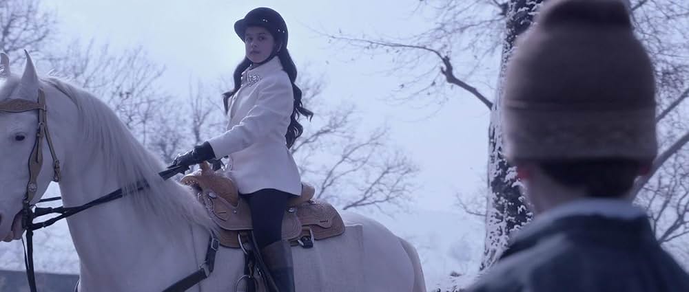 Fitoor（原題）の画像