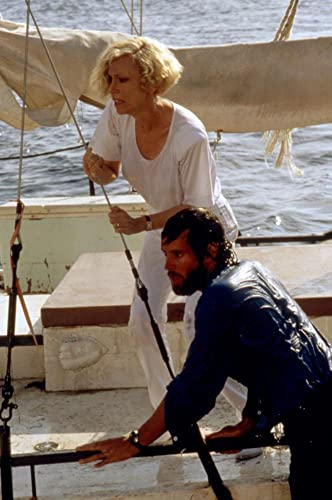 ジョーズ'87／復讐篇の画像