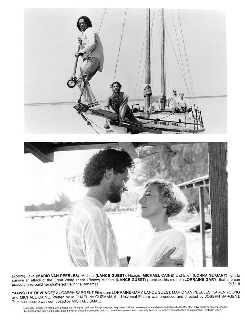ジョーズ'87／復讐篇の画像