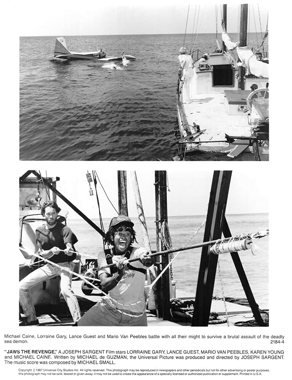 ジョーズ'87／復讐篇の画像