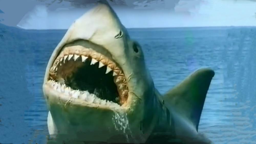 「ジョーズ'87／復讐篇」の画像