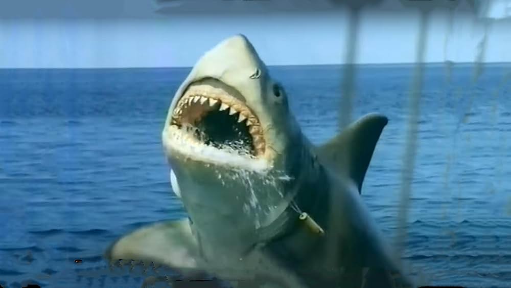 「ジョーズ'87／復讐篇」の画像