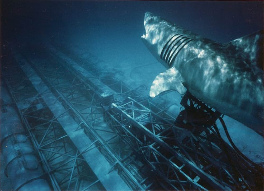 「ジョーズ'87／復讐篇」の画像