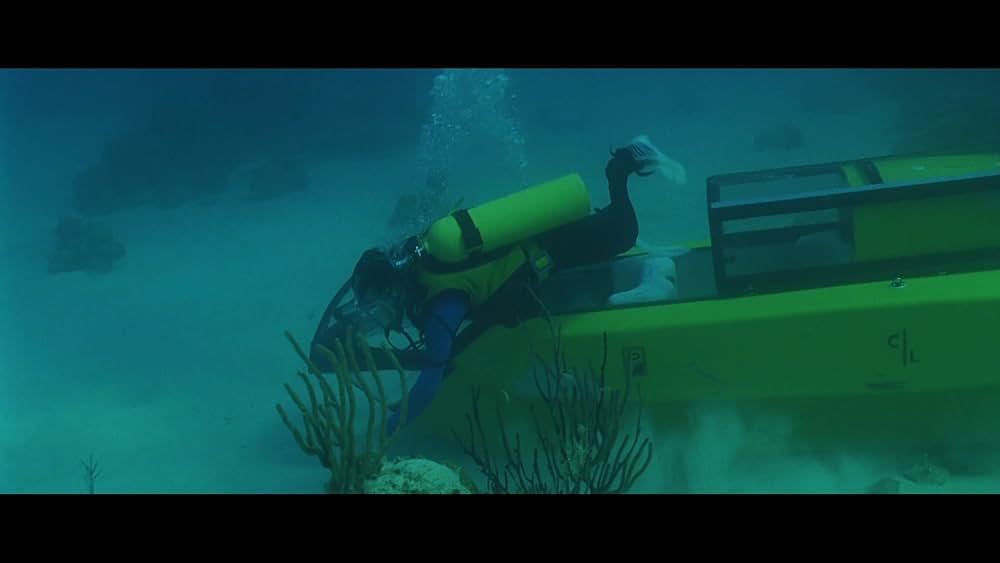 「ジョーズ'87／復讐篇」の画像