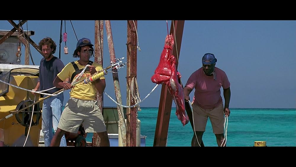 「ジョーズ'87／復讐篇」の画像