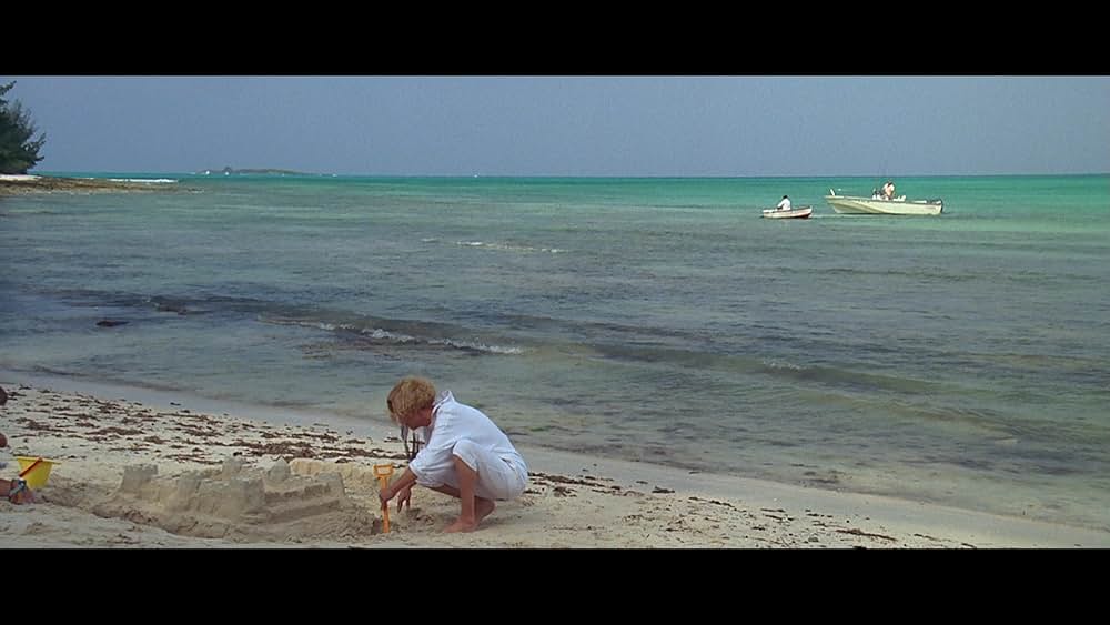 「ジョーズ'87／復讐篇」の画像