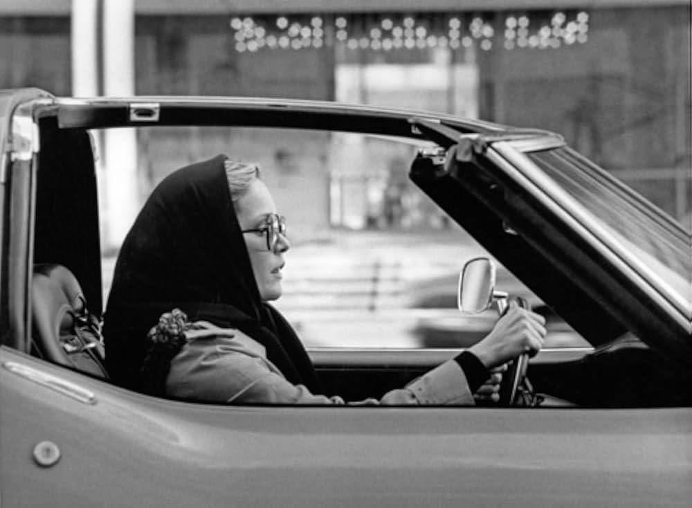 Play It as It Lays（原題）の画像