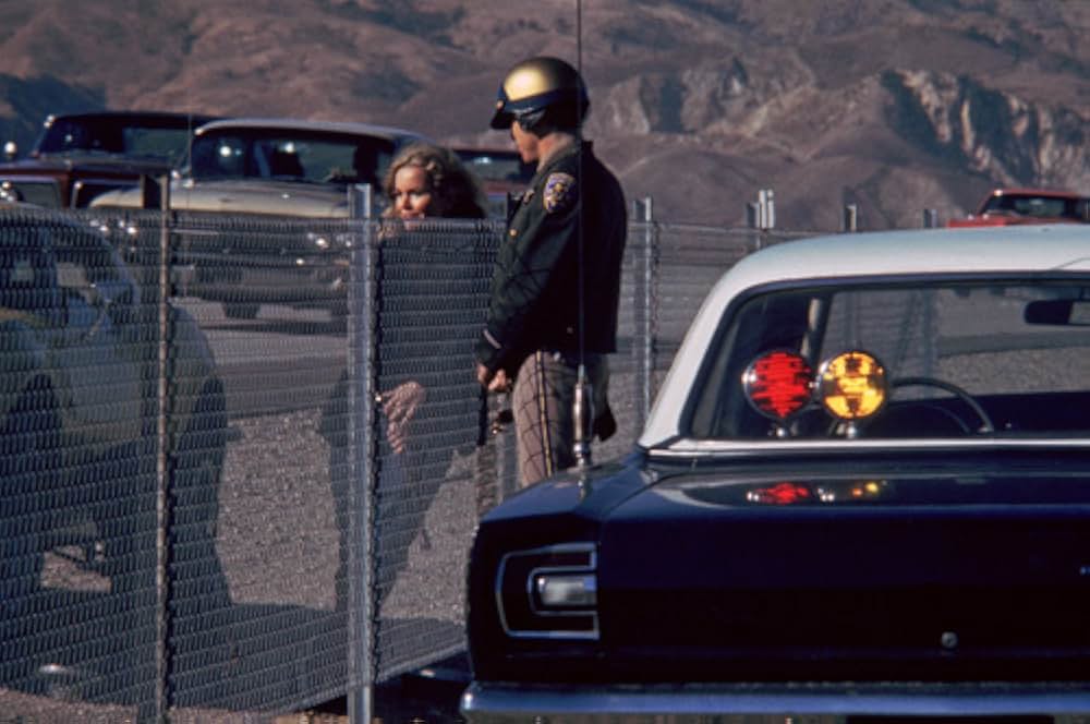 Play It as It Lays（原題）の画像