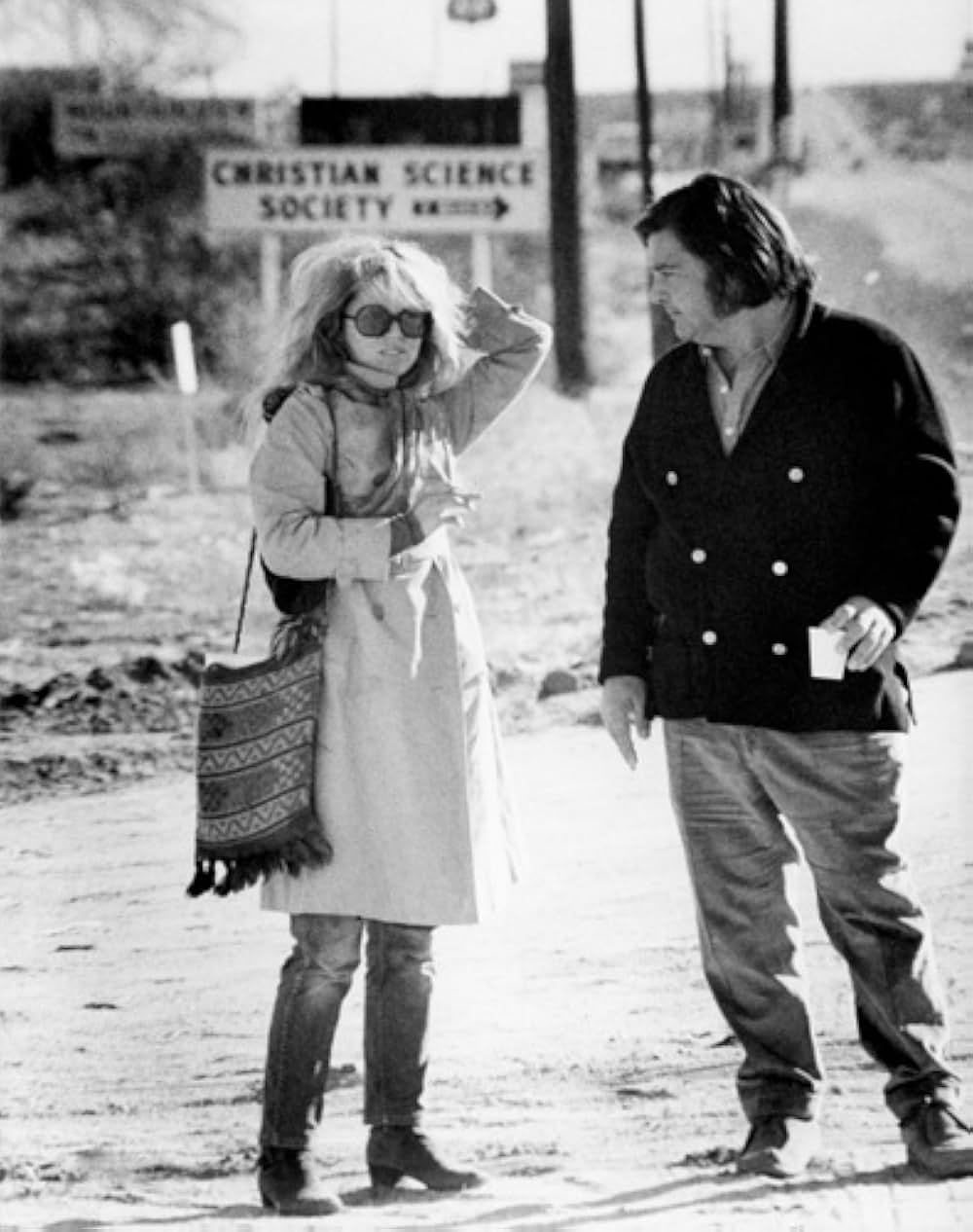 Play It as It Lays（原題）の画像