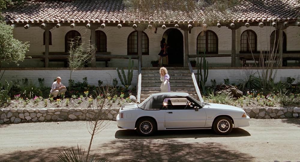 Auntie Lee's Meat Pies（原題）の画像