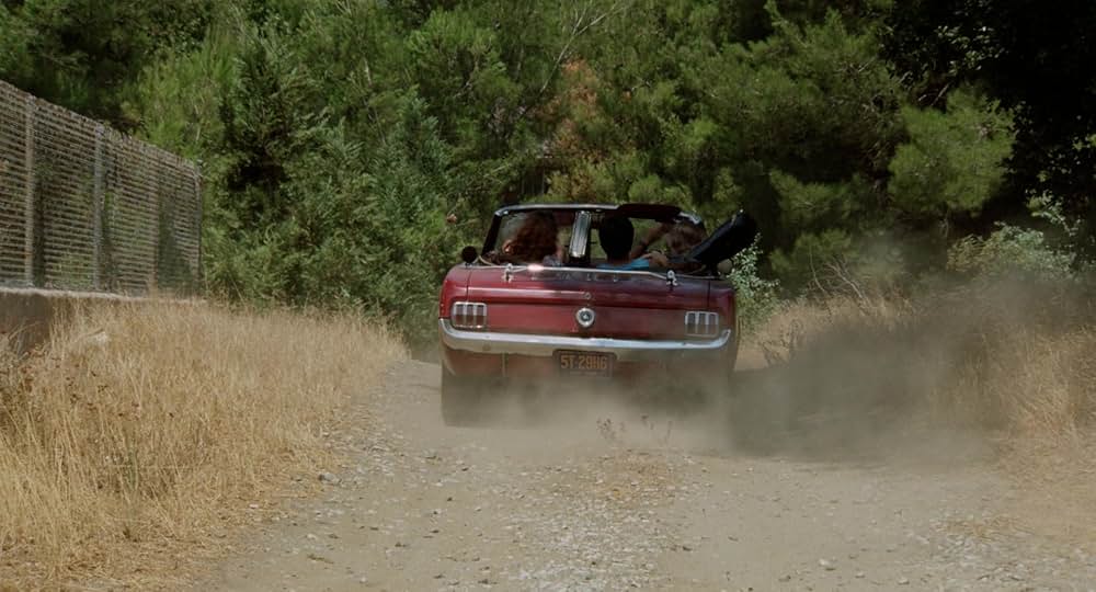 Auntie Lee's Meat Pies（原題）の画像