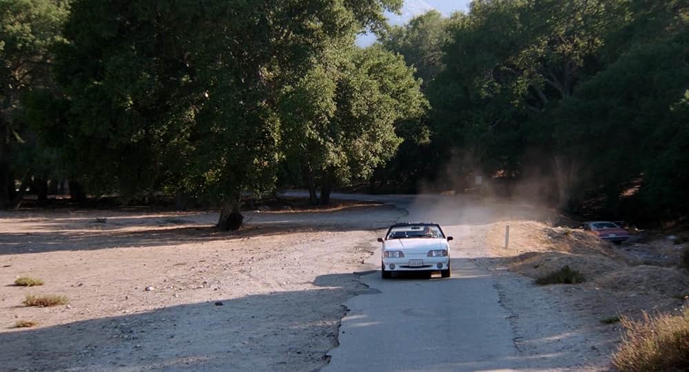 Auntie Lee's Meat Pies（原題）の画像