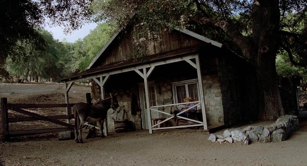 Auntie Lee's Meat Pies（原題）の画像