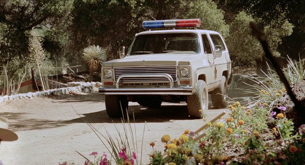 Auntie Lee's Meat Pies（原題）の画像