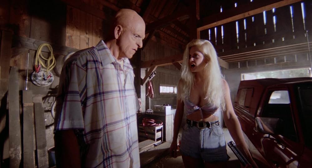 Auntie Lee's Meat Pies（原題）の画像