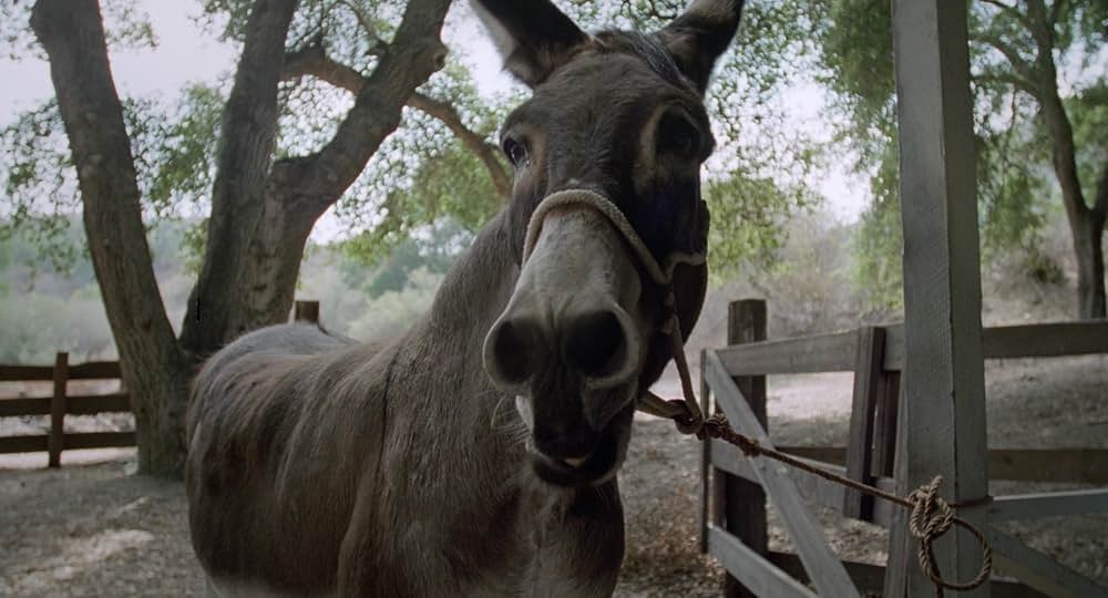 Auntie Lee's Meat Pies（原題）の画像