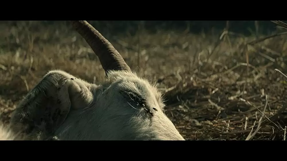 ザ・グレイテスト・キングの画像