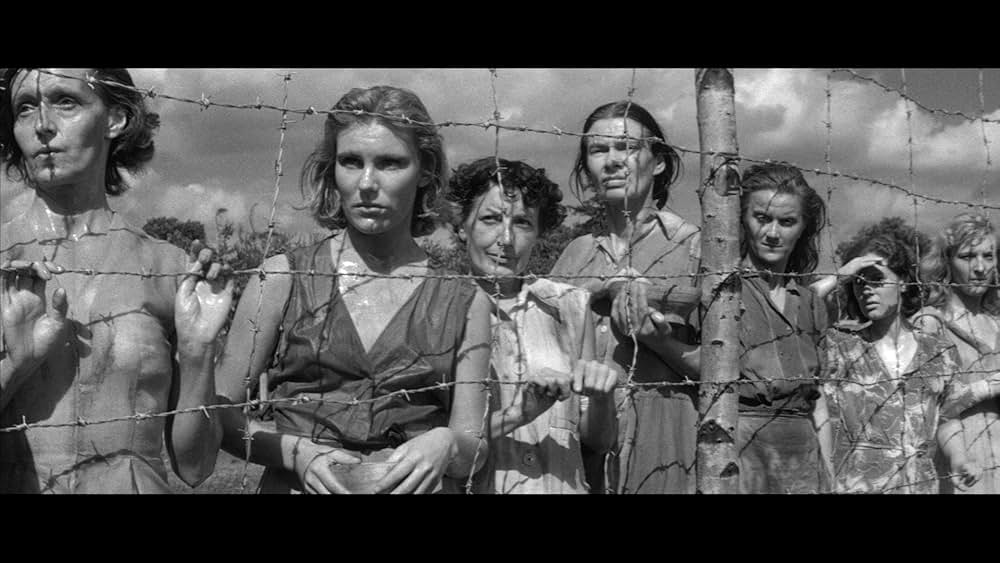 ザ・キャンプ・オン・ブラッド・アイランド（原題）の画像